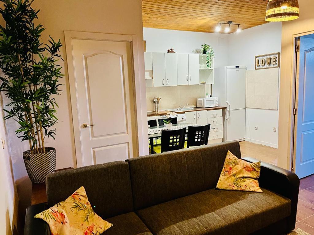 Apartmán Pintadera House Caracola Icod De Los Vinos Exteriér fotografie